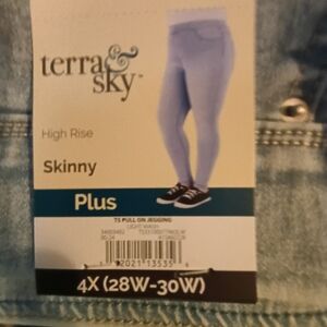 Terra & Sky Women's Plus Size Skinny Jeans - Light Blue